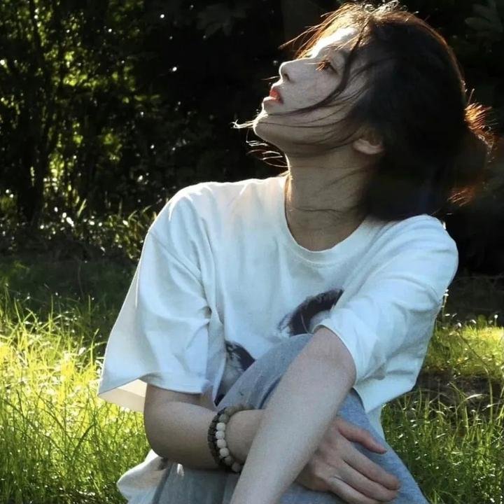 捷京谍影