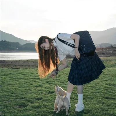 春光绿柳营