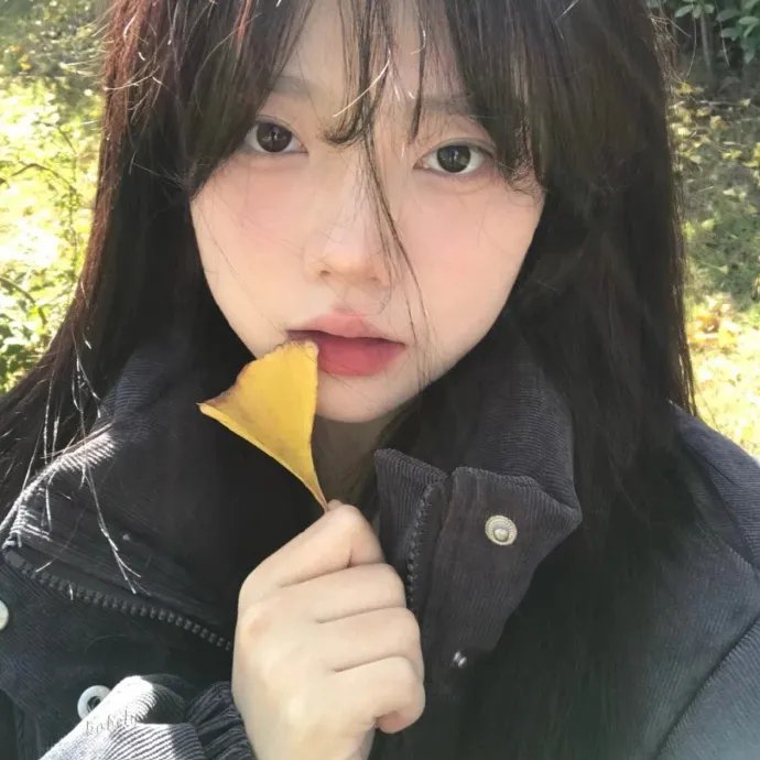 柏油探戈